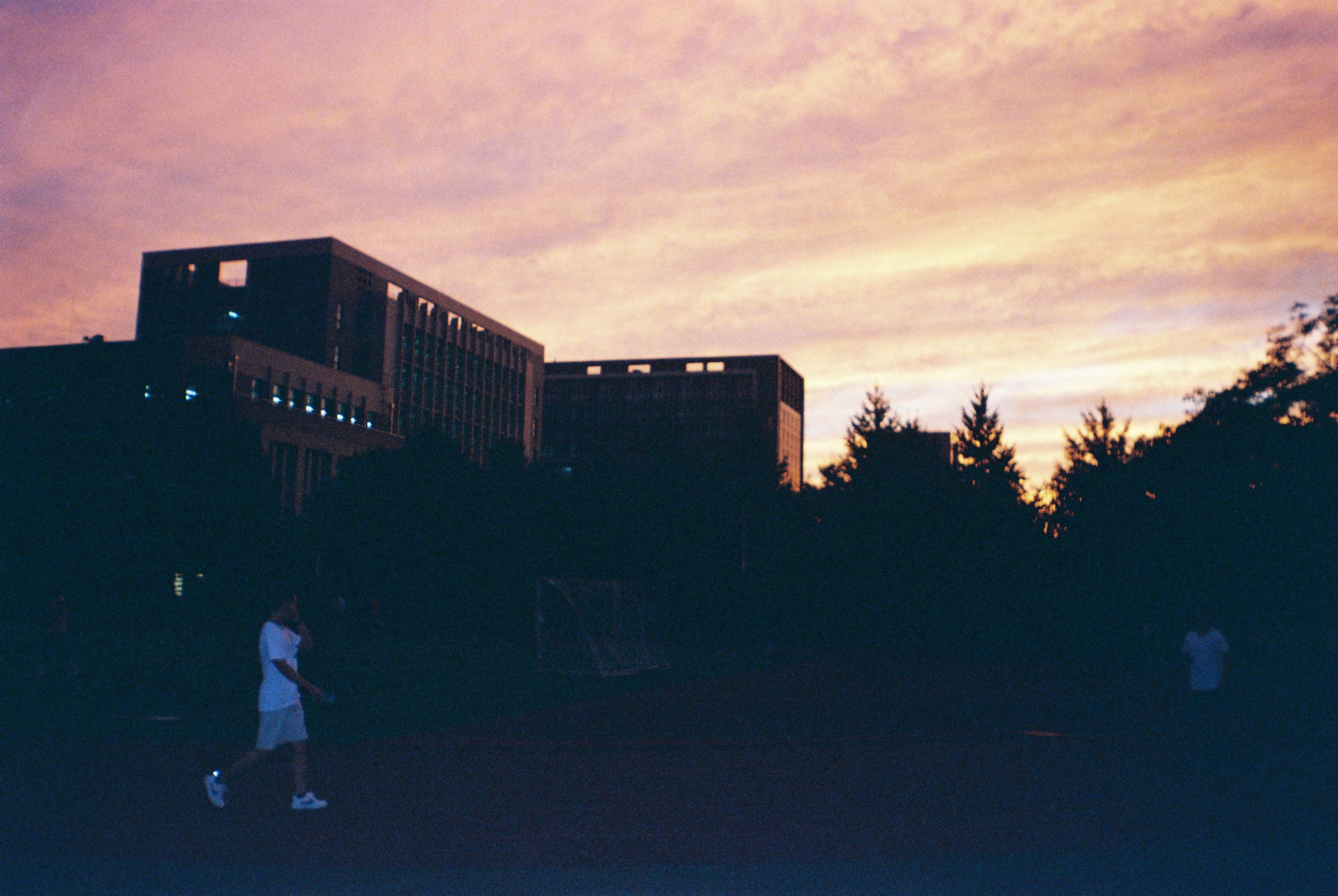Film Life 9
