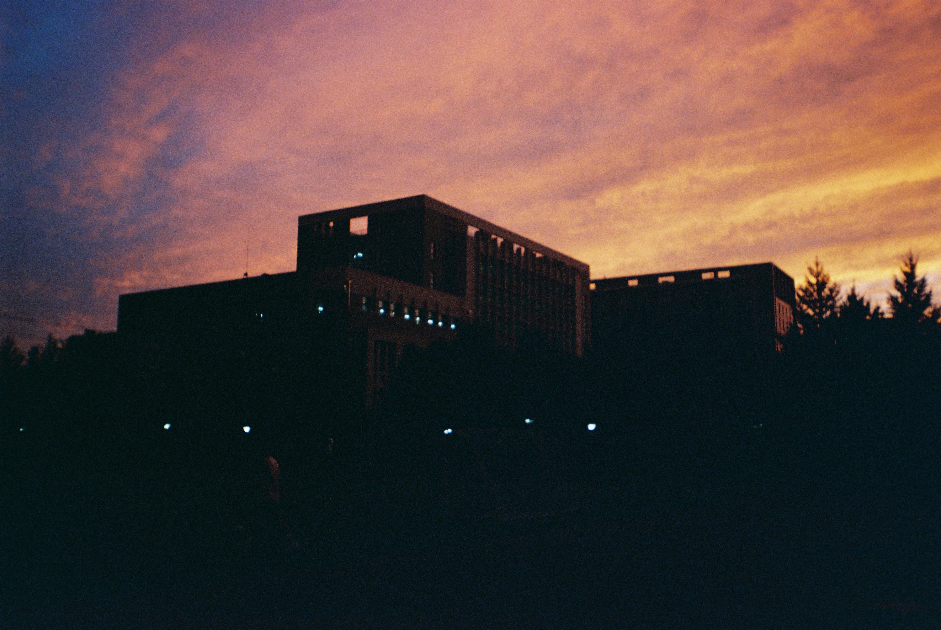 Film Life 10