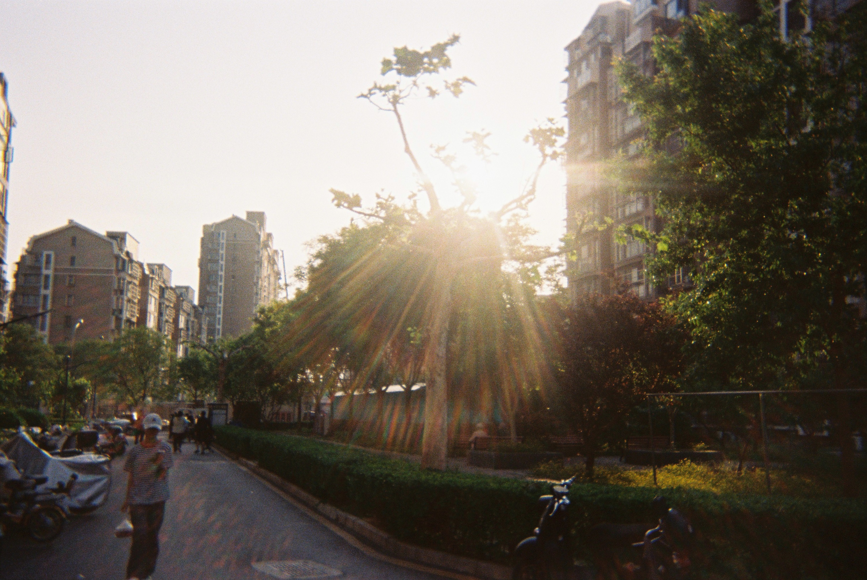 Film Life 24