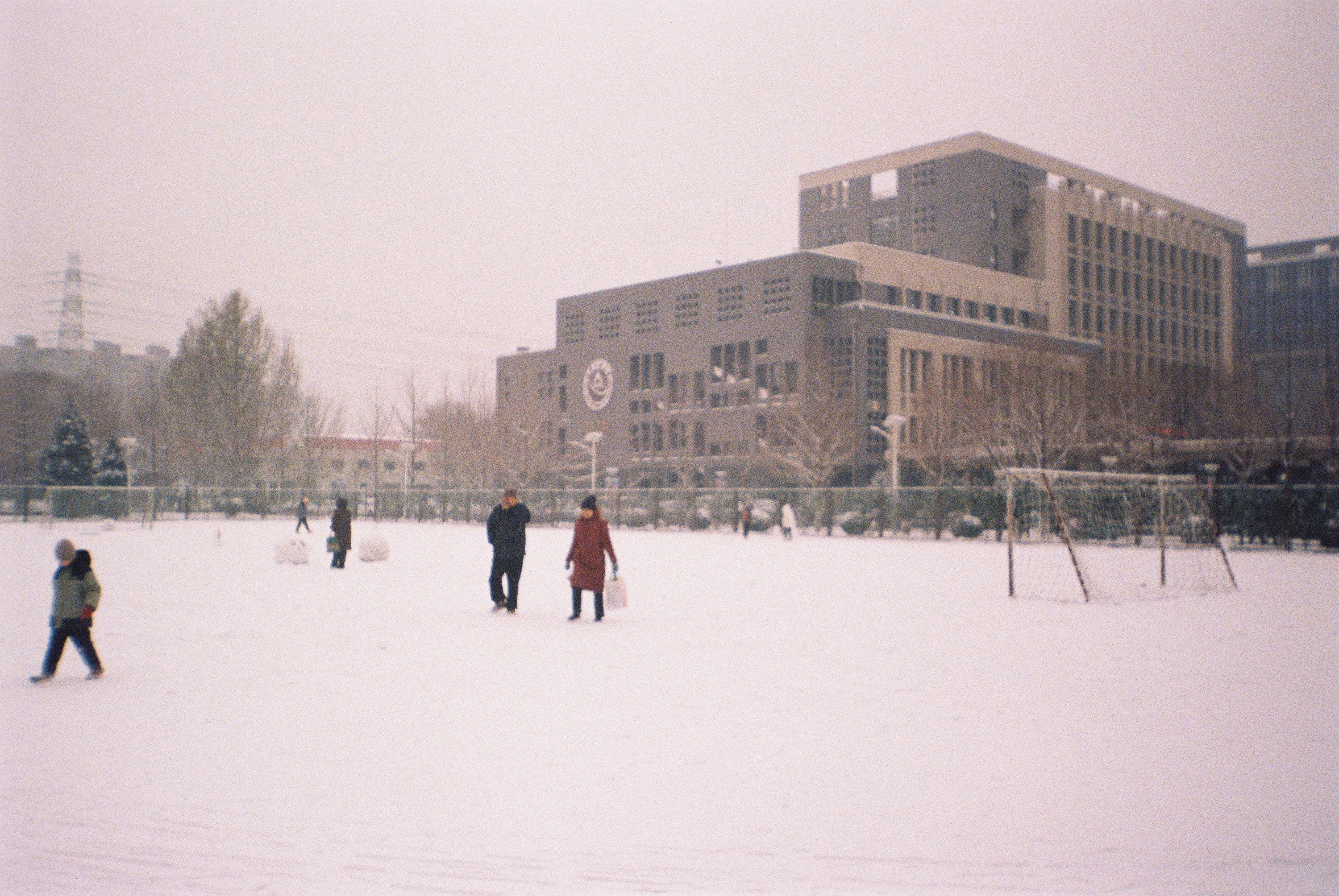 Film Life 28