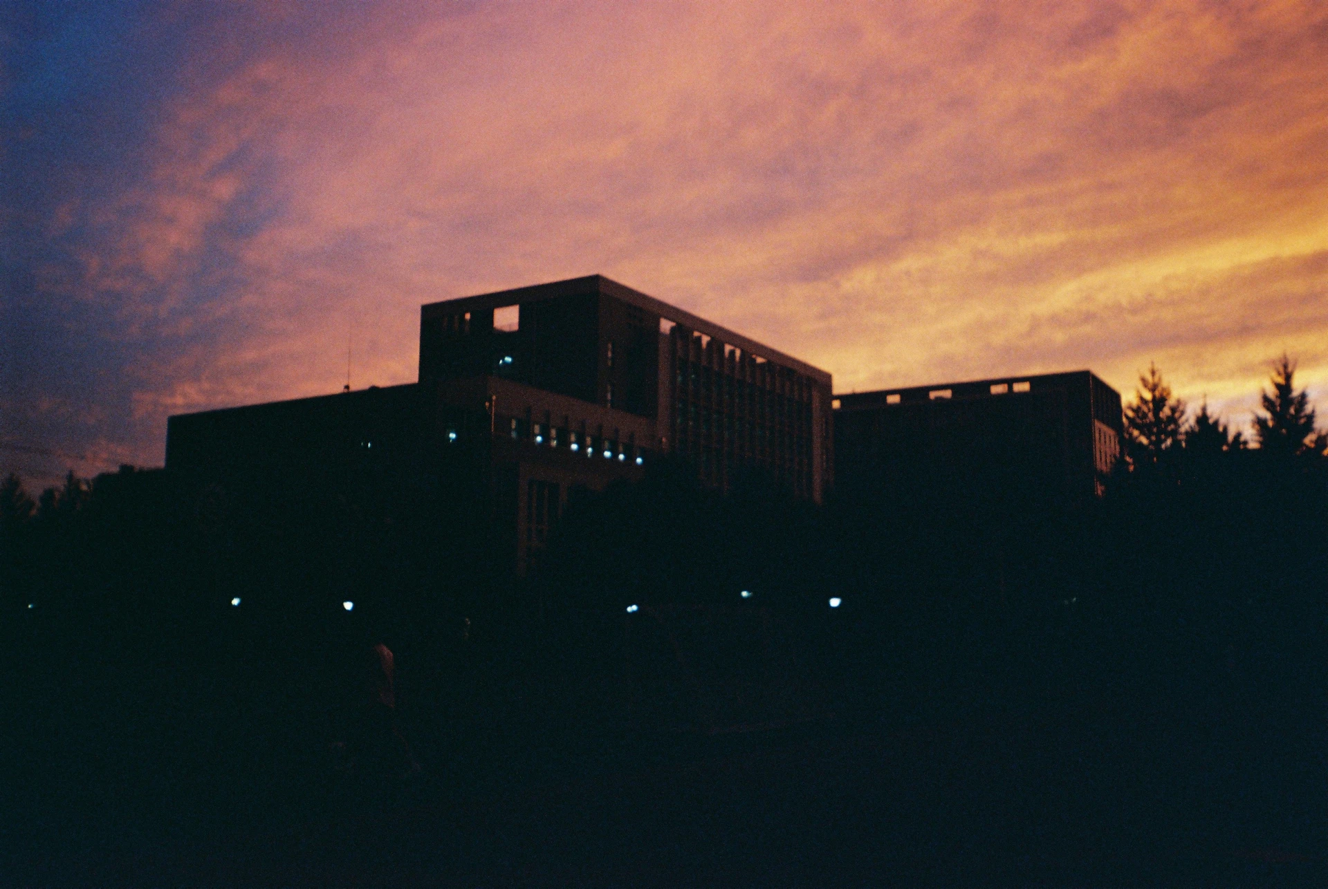Film Life 10