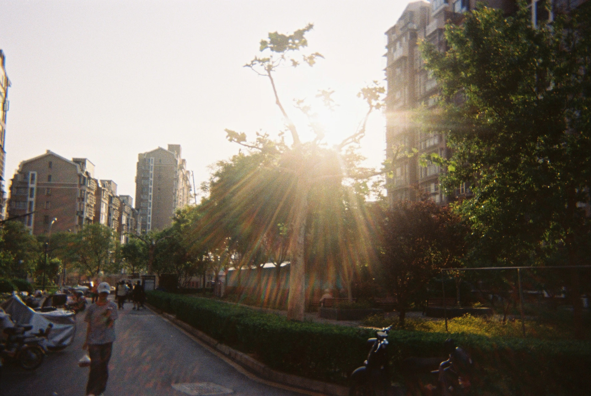 Film Life 24